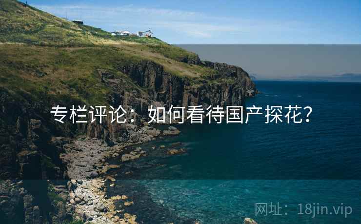 专栏评论：如何看待国产探花？