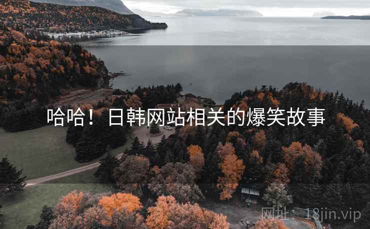 哈哈！日韩网站相关的爆笑故事
