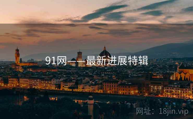 91网——最新进展特辑