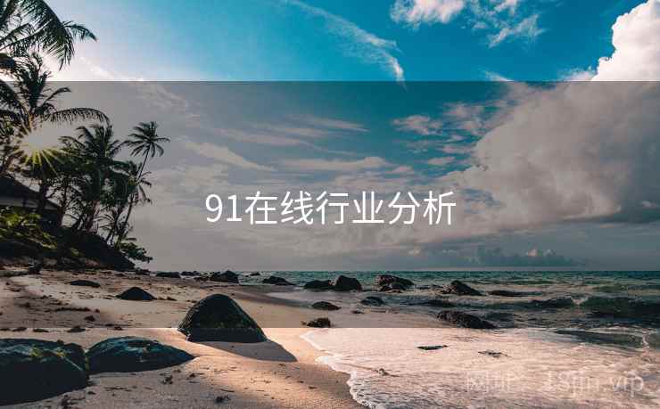 91在线行业分析