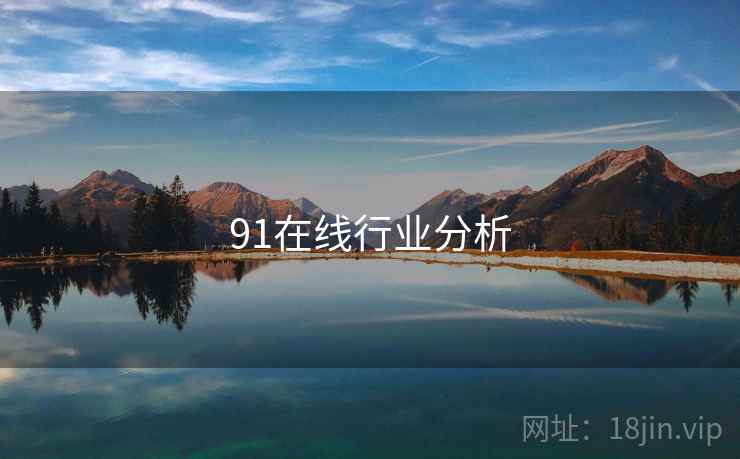 91在线行业分析