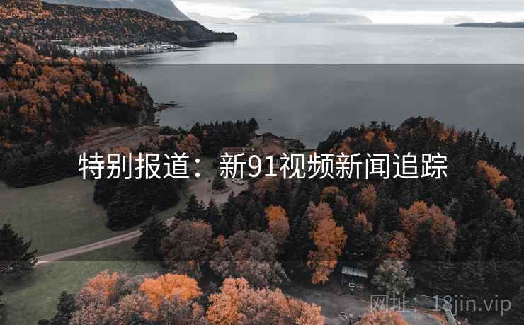 特别报道：新91视频新闻追踪