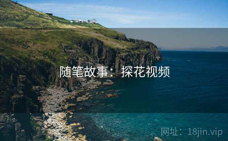 随笔故事：探花视频
