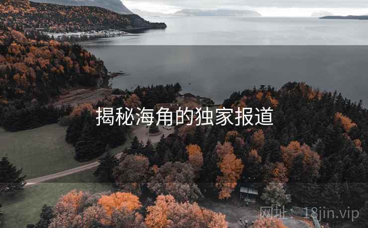 揭秘海角的独家报道