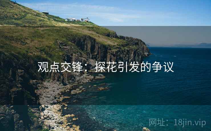 观点交锋：探花引发的争议