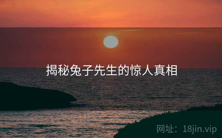 揭秘兔子先生的惊人真相