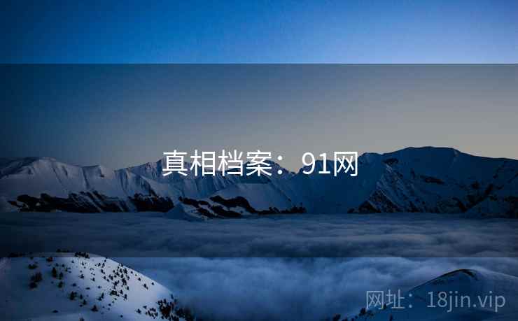 真相档案：91网
