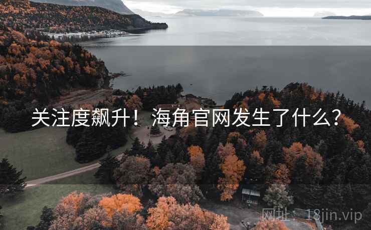 关注度飙升！海角官网发生了什么？